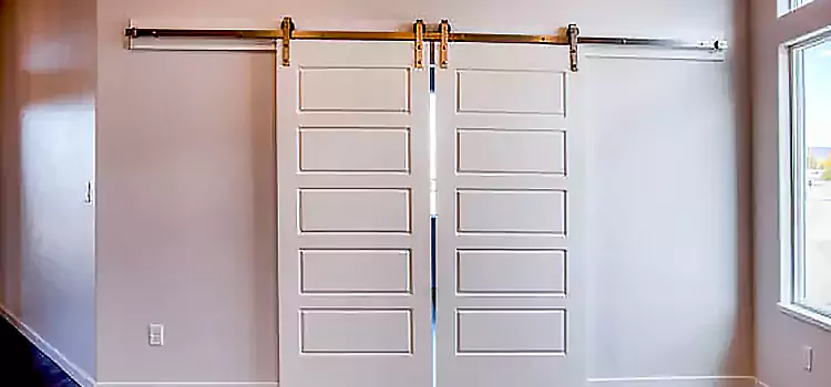 Glass Barn Door with Installation Hardware Kit Burien