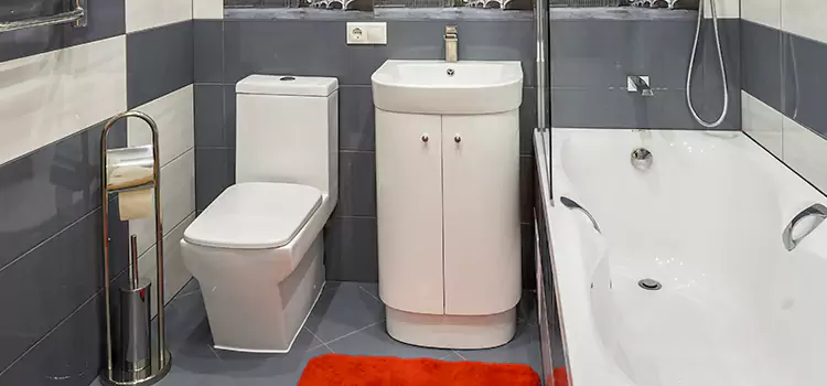 Hansgrohe Shaving Mirror Burien